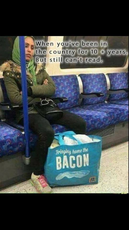 bringing home the bacon meme - When you've been in the country for 10 years. But still can't read. Bringing home the Bacon