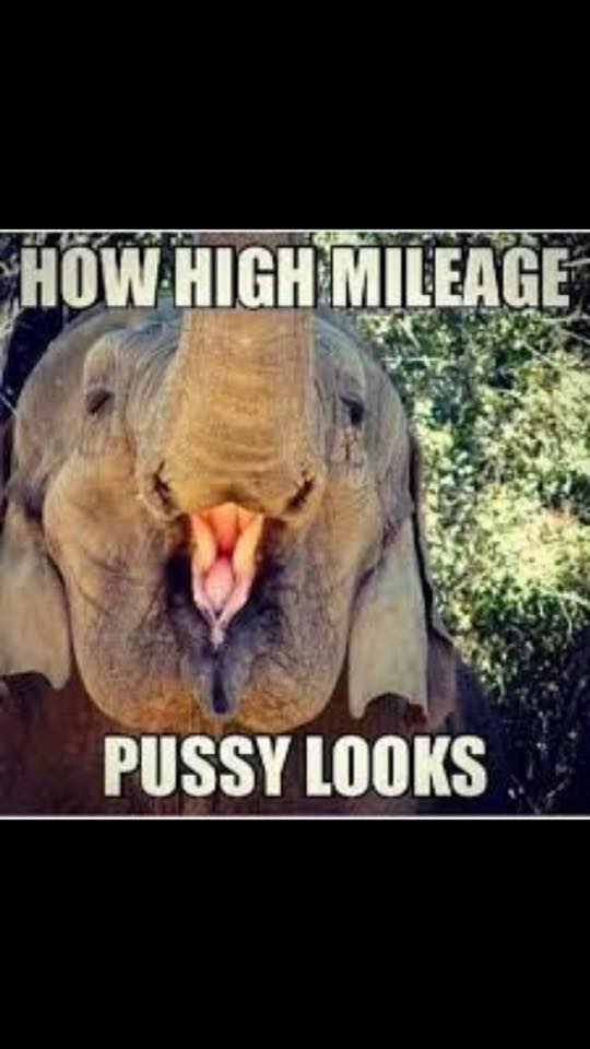 funny dirty - How High Mileage Pussy Looks