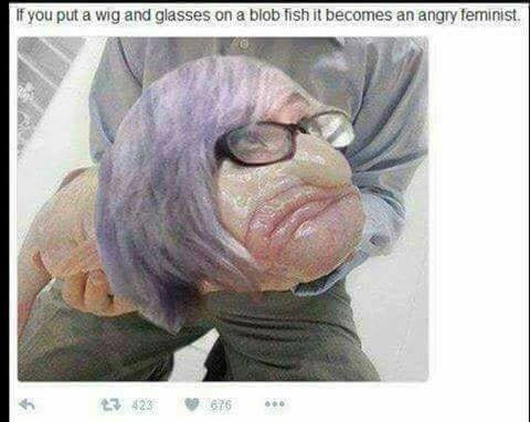 blobfish feminist - If you put a wig and glasses on a blob fish it becomes an angry feminist