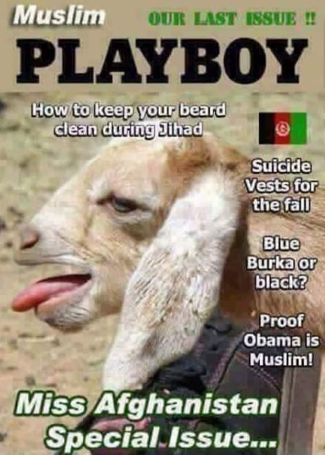 playboy logo - Muslim Our Last Issue ! Playboy How to keep your beard clean during Jihad Suicide Vests for the fall Blue Burka or black? Proof Obama is Muslim! Miss Afghanistan Special Issue...