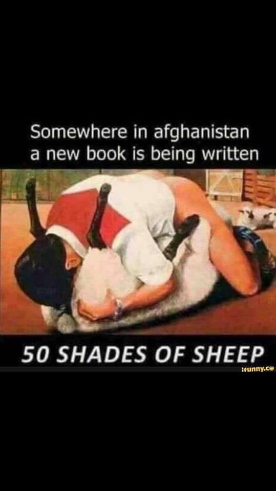 photo caption - Somewhere in afghanistan a new book is being written 50 Shades Of Sheep runny.co