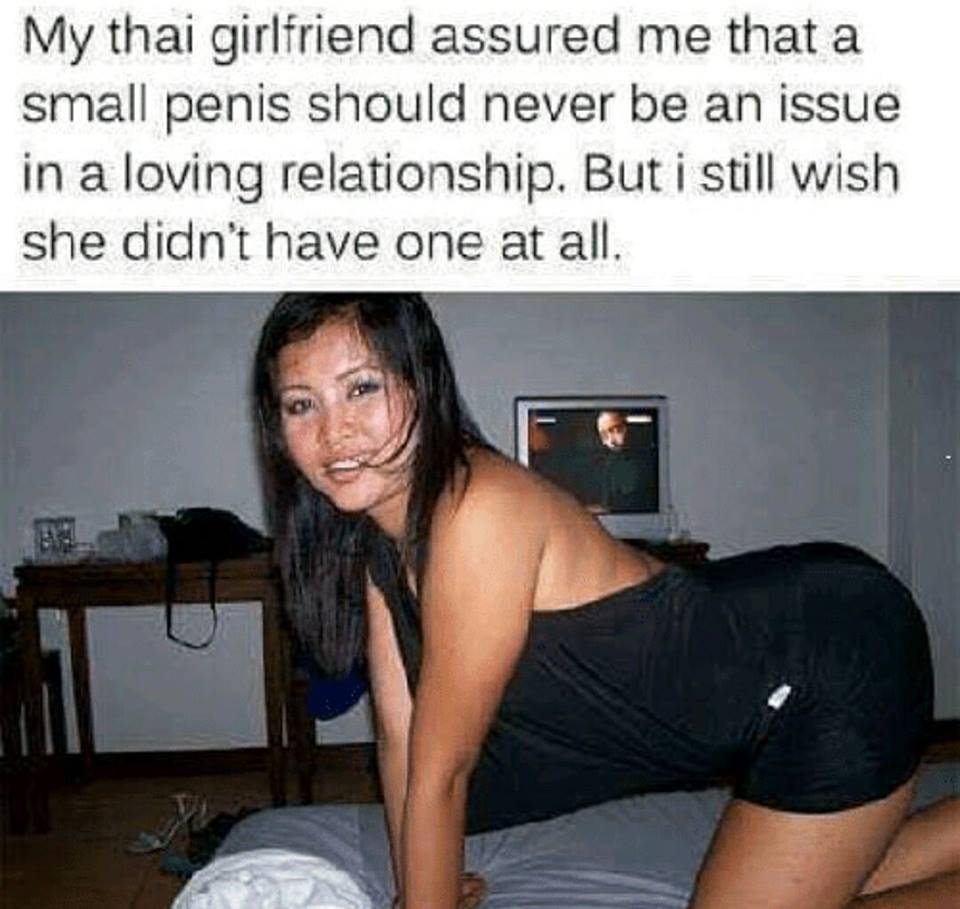 my thai girlfriend meme - My thai girlfriend assured me that a small penis should never be an issue in a loving relationship. But i still wish she didn't have one at all.