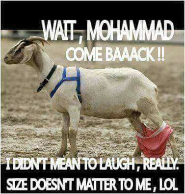 goat sex - Wait, Mohammad Come Baaack!! I Didnt Mean To Laugh, Really. Stze Doesnt Matter To Me, Lol