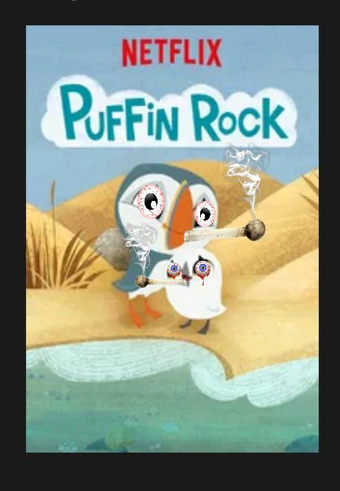 Funny pic of Puffin Rocks