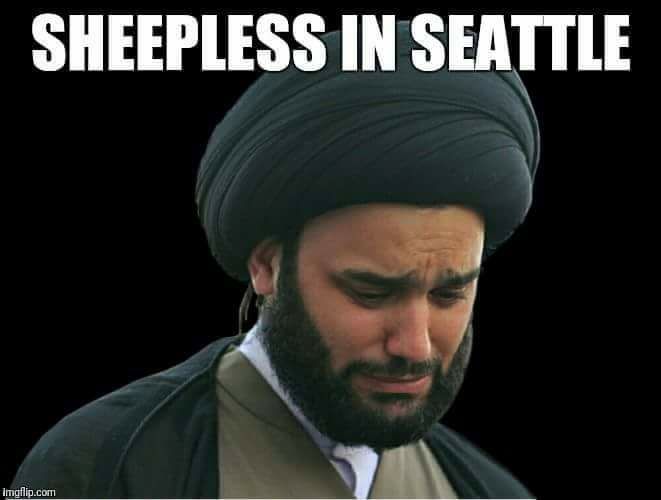 cat pee meme - Sheepless In Seattle Imgflip.com
