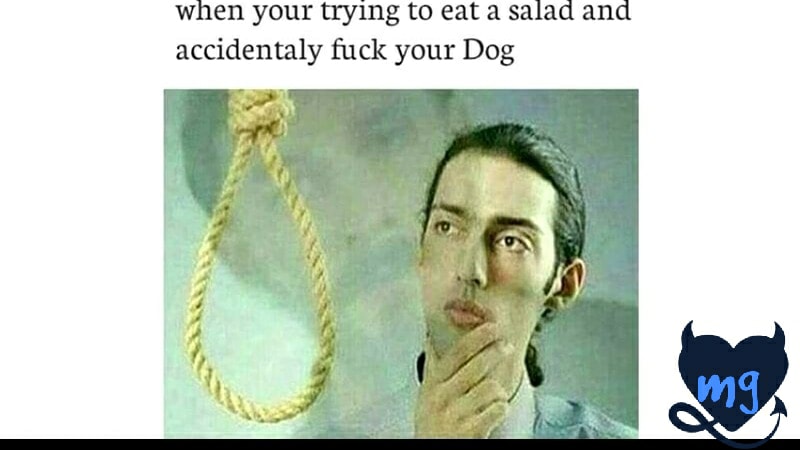 Internet meme - when your trying to eat a salad and accidentaly fuck your Dog wa