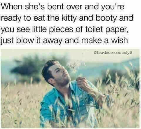 Toilet paper - When she's bent over and you're ready to eat the kitty and booty and you see little pieces of toilet paper, just blow it away and make a wish Chardoorecomedya