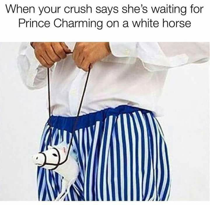 prince charming meme - When your crush says she's waiting for Prince Charming on a white horse