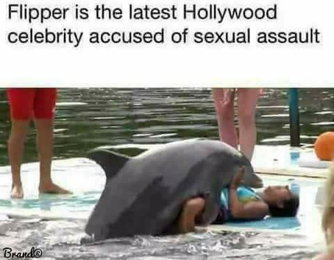 tucuxi - Flipper is the latest Hollywood celebrity accused of sexual assault Brande