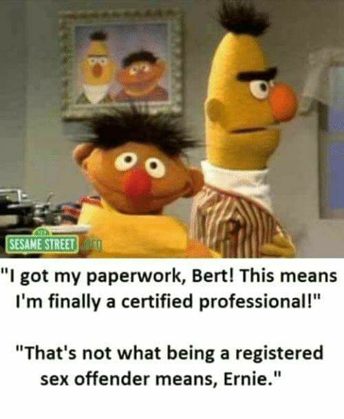 memes - sesame street memes - Stan Sesame Street "I got my paperwork, Bert! This means I'm finally a certified professional!" "That's not what being a registered sex offender means, Ernie."