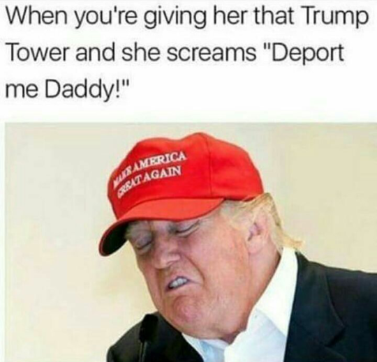memes - deport me daddy - When you're giving her that Trump Tower and she screams "Deport me Daddy!" America At Again