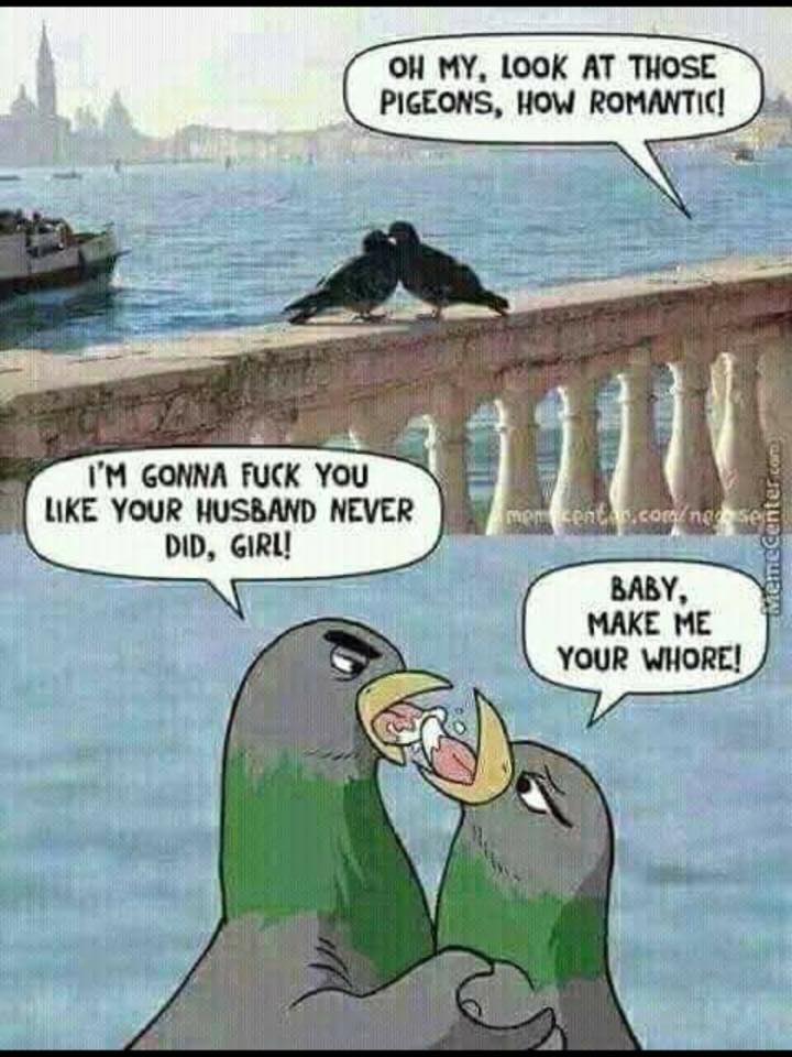 memes - romantic funny - Oh My, Look At Those Pigeons, How Romantic! I'M Gonna Fuck You Your Husband Never Did, Girl! centa.coral ng ses mmecenter.com Baby, Make Me Your Whore!