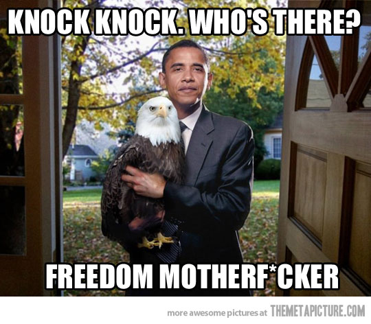 i hate obama i just like the eagle