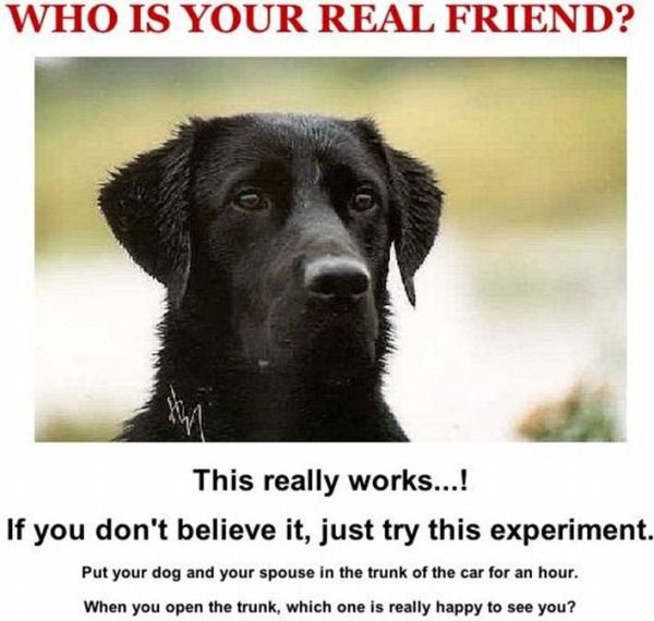 whos your real friend