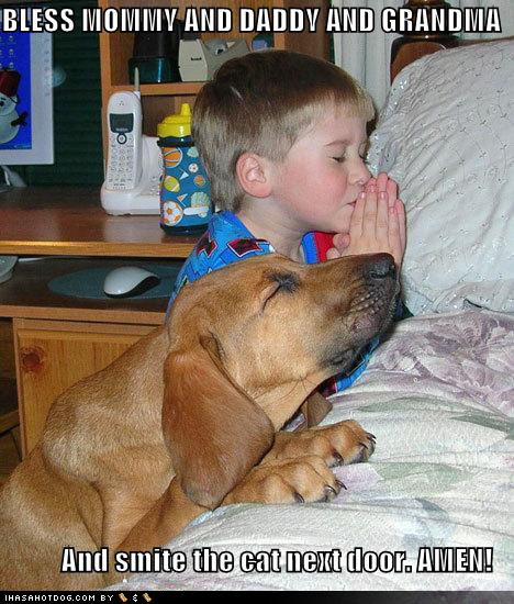 Kid and Dog praying