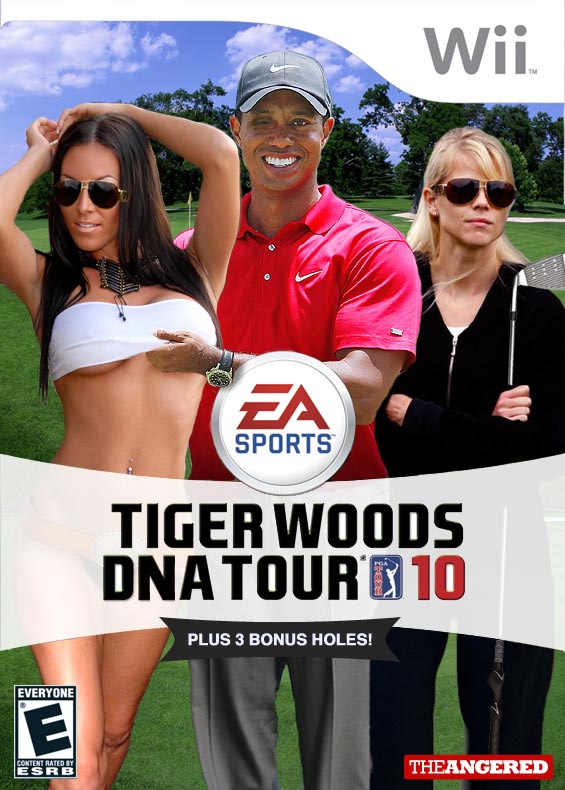 New tiger woods game