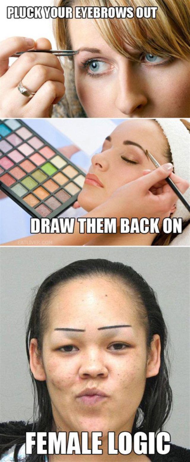 woman logic meme - Pluck Your Eyebrows Out Draw Them Back On Etvercom Female Logic
