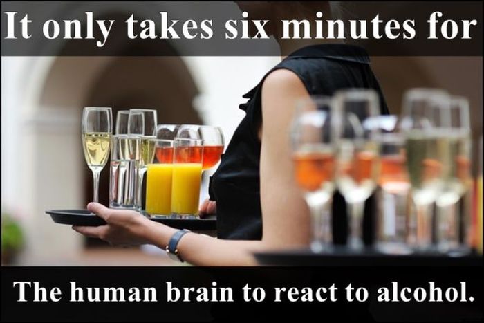 Champagne - It only takes six minutes for The human brain to react to alcohol.