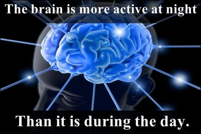 The brain is more active at night Than it is during the day.