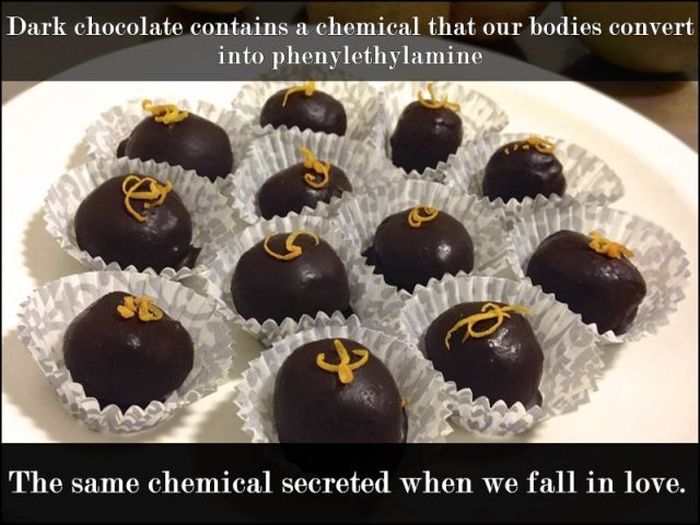 bonbon - Dark chocolate contains a chemical that our bodies convert into phenylethylamine The same chemical secreted when we fall in love.