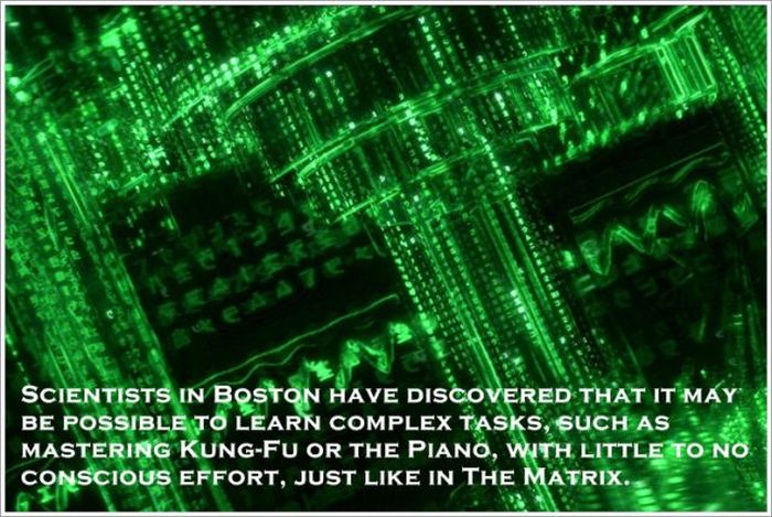 matrix reloaded - Scientists In Boston Have Discovered That It May Be Possible To Learn Complex Tasks, Such As Mastering KungFu Or The Piano, With Little To No. Conscious Effort, Just In The Matrix. Cs
