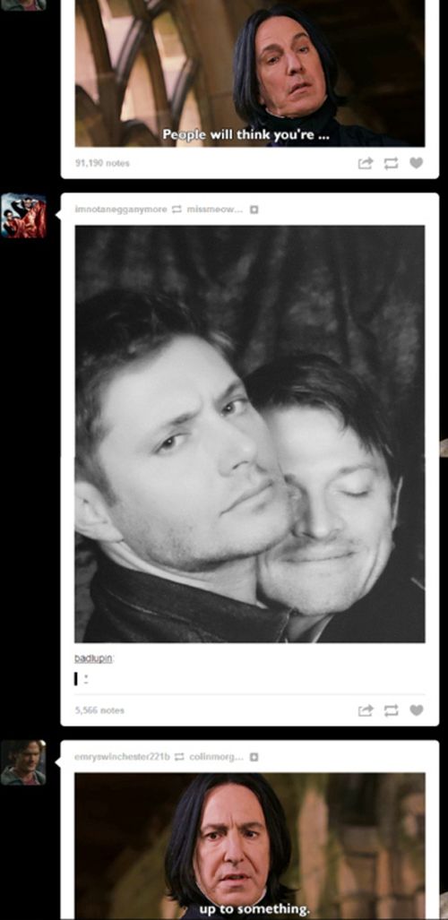 tumblr - collage - People will think you're ... 91.190 notes Imotangganymore mismo Daugin 5.566 notes emrywinchesterto colinmang. up to something