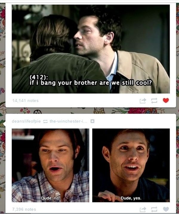 tumblr - supernatural ships - 412 if i bang your brother are we still cool? 14,141 notes deanslifeofpie thewinchesteri... Dude, no Dude, yes. 7,396 notes