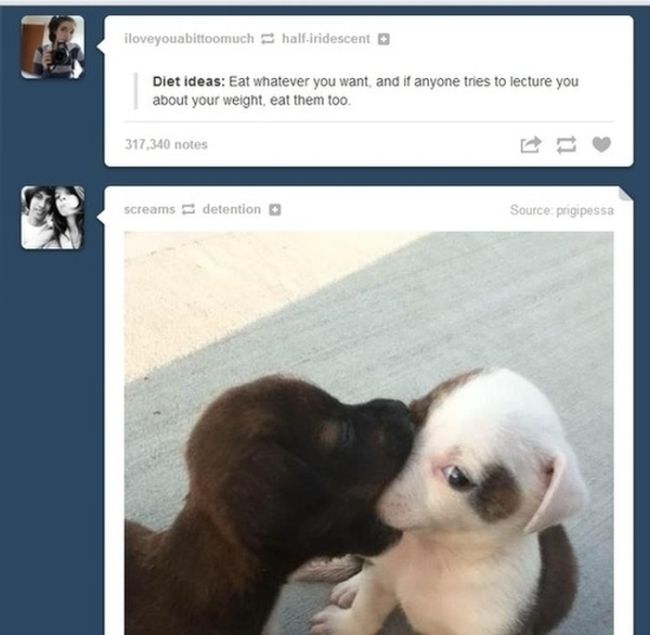 tumblr - first kiss awkward - iloveyouabittoomuch halfiridescent Diet ideas Eat whatever you want, and if anyone tries to lecture you about your weight, eat them too. 317,340 notes screams detention Source prigipessa