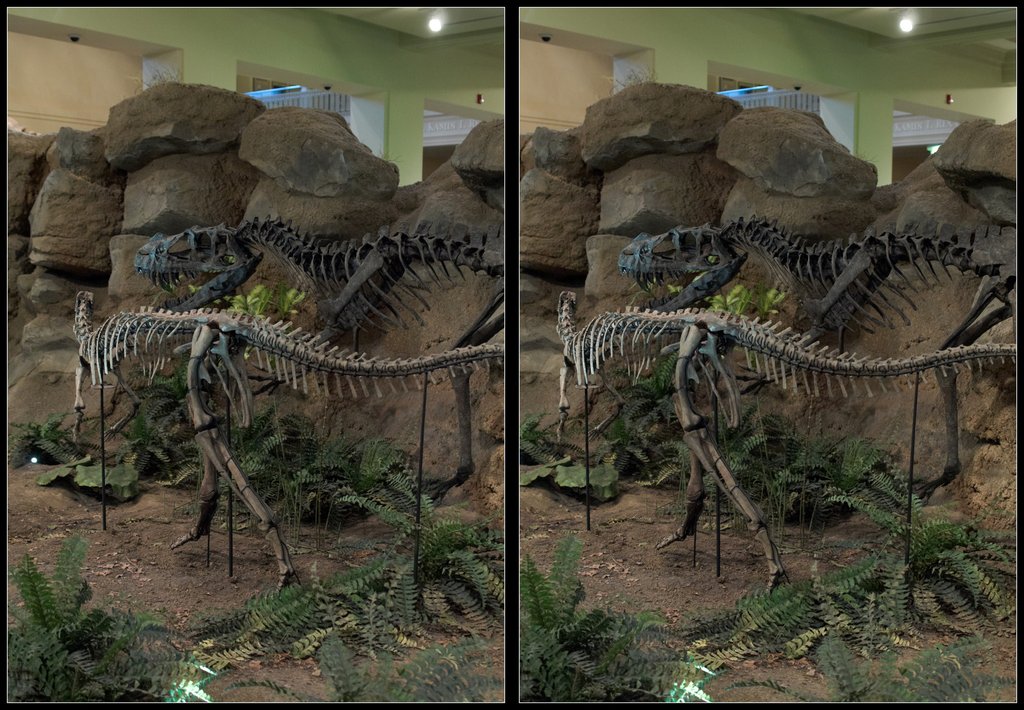 3D Dinosaur Skeletons in Crossview