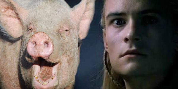 Orlando Bloom – Swinophobia: The fear of pigs.