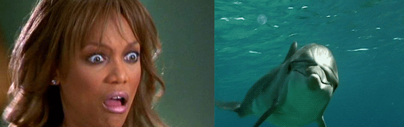 Tyra banks – Delfiniphobia: The fear of dolphins.