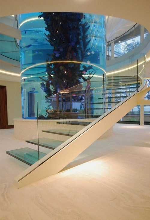 interior desing aquarium staircase