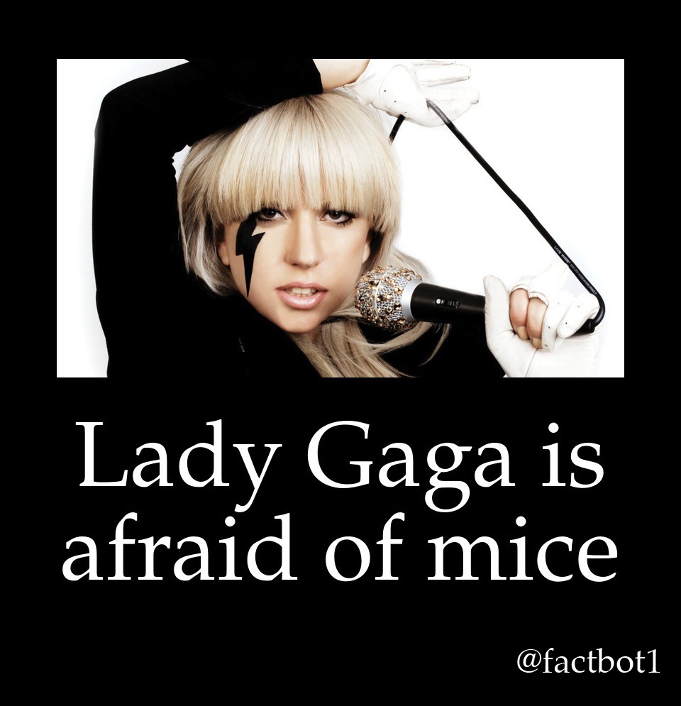 blond - Lady Gaga is afraid of mice