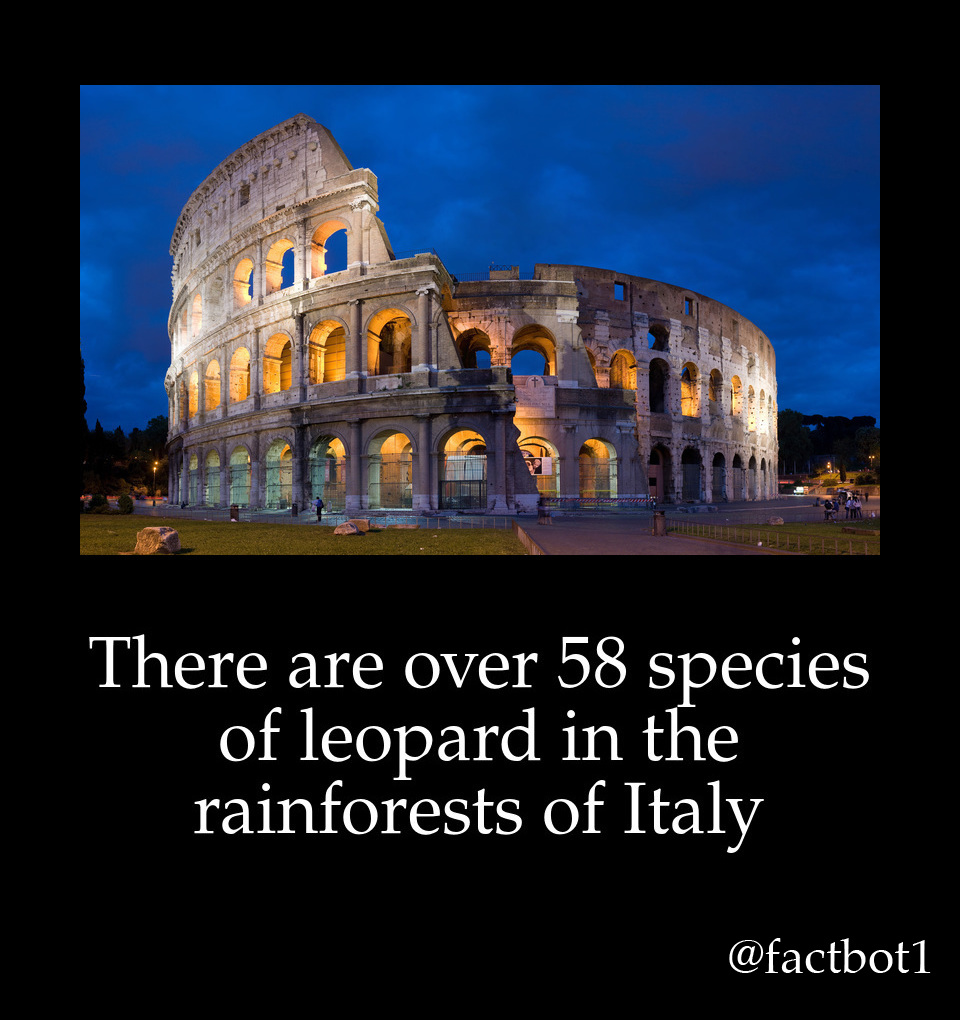 greek roman - There are over 58 species of leopard in the rainforests of Italy f