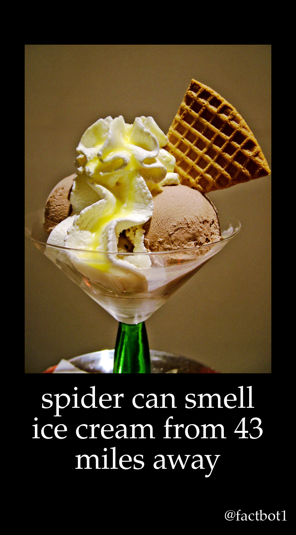 italian ice cream - spider can smell ice cream from 43 miles away