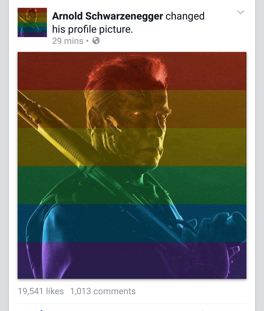 Arnold Schwarzenegger Owns a Homophobe on Facebook