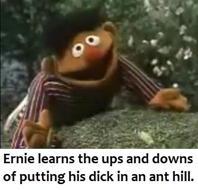 22 Extremely Inappropriate Sesame Street Strips