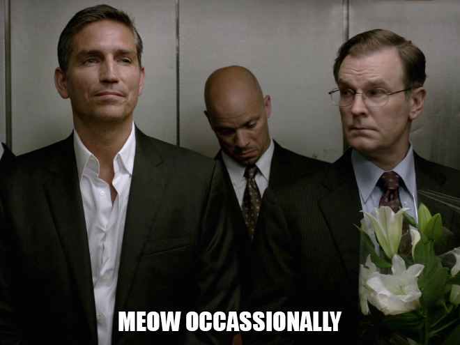 fun elevator pranks - Elevator - Meow Occassionally