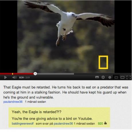 youtube comment funny imgur comments - 201 That Eagle must be retarded. He turns his back to eat on a predator that was coming at him in a stalking fashion. He should have kept his guard up when he's the ground and vulnerable. paulandrew 36 1 mnad sedan Y