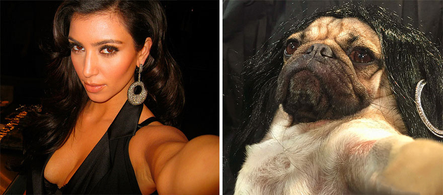 After selfie queen Kim Kardashian-West released Selfish, a hardcover art book containing 300 carefully curated photos of her contoured face, Doug the Pug had to pay homage.