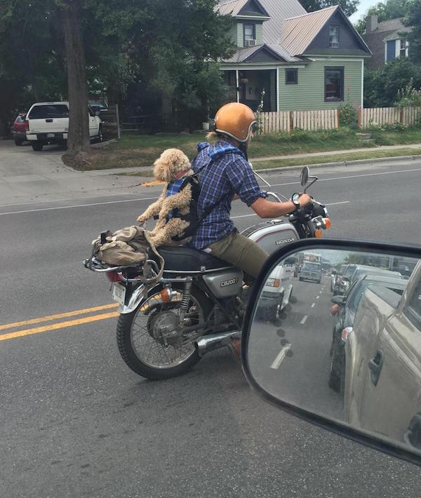 wtf motorcycle