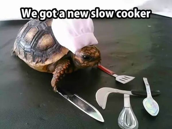 slow cooker funny - We got a new slow cooker