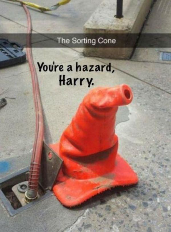 sorting cone - The Sorting Cone You're a hazard, Harry