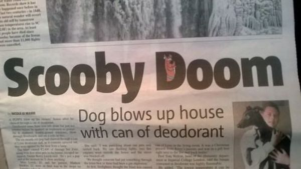 animals in news headlines - Scooby Doom Dog blows up house with can of deodorant