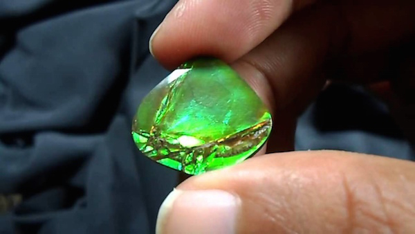 The ammolite, a rare organic gemstone found in the Rocky Mountains. Some say it’s actually the rarest gemstone on Earth.