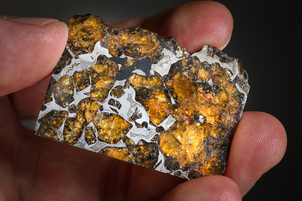 The insane-looking insides of a meteorite.