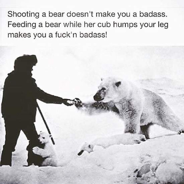 feeding a bear while her cub humps your leg - Shooting a bear doesn't make you a badass. Feeding a bear while her cub humps your leg makes you a fuck'n badass!