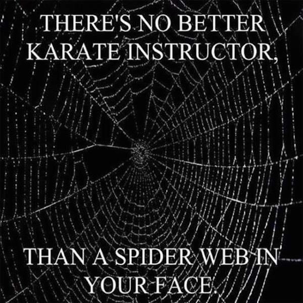 funny spider web quotes - There'S No Better Karate Instructor, Than A Spider Web In Your Face.