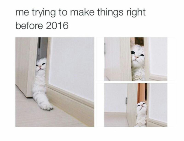 new years 2017 meme of cat trying to slide in there to fix things before 2016 is out