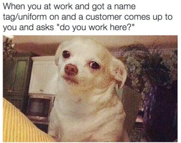 Dog meme about when you are working somewhere with your name tag and asked if you work here